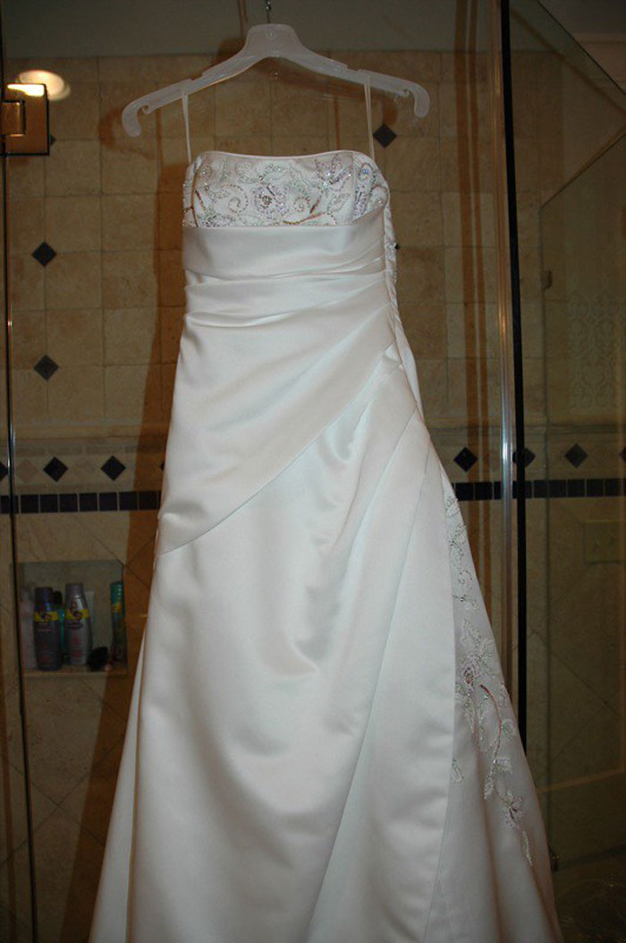 Woman Wonders If She&rsquo;s The Jerk For Causing Newlyweds To Be Taken To A Police Station After The Bride Gets Caught Wearing Her Husband&rsquo;s Ex-Wife&rsquo;s Dress