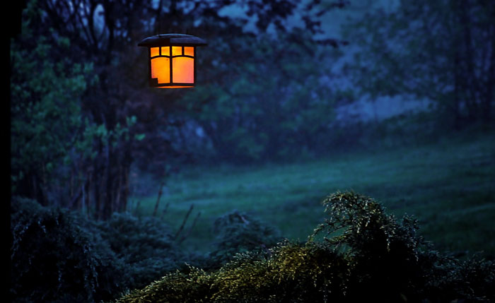 40 People Are Sharing Shockingly Terrifying Things They've Witnessed