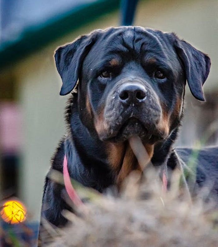 40 People Are Sharing Shockingly Terrifying Things They've Witnessed