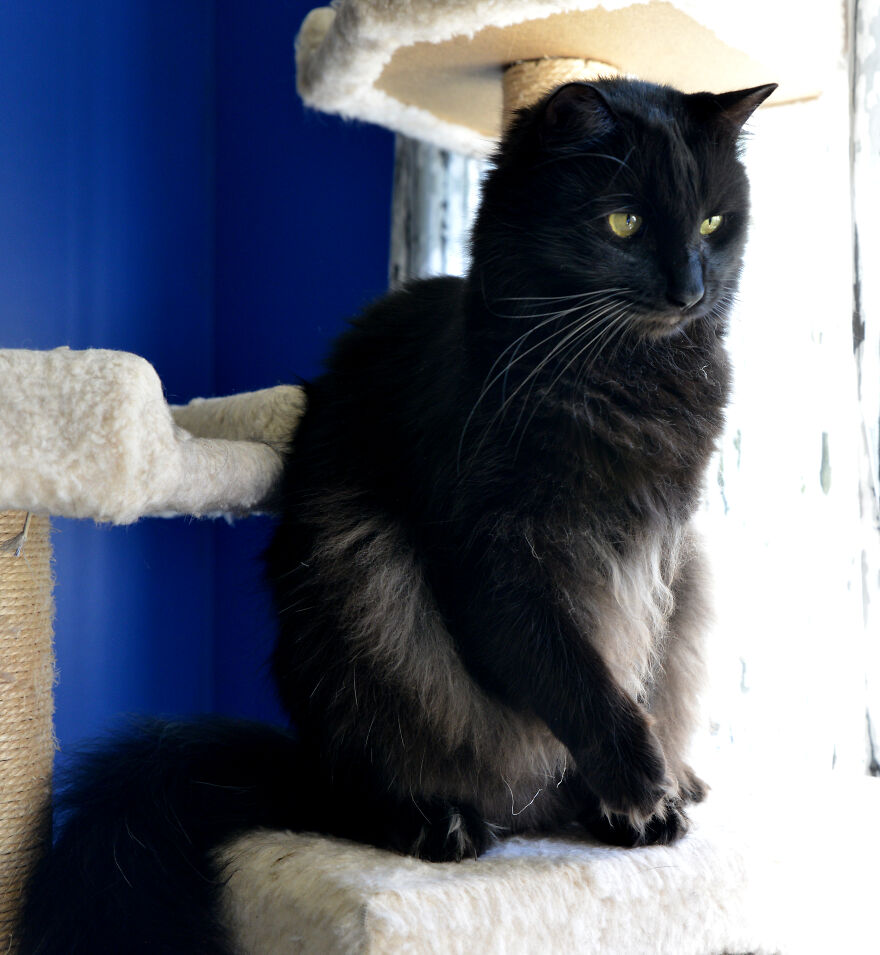 I Made Over 300 Comics This Year And Posted Every Single One, Here Are Some Random Samples For Some Laughs