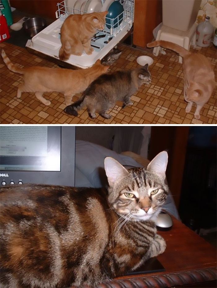 40 Teachers Share Unbelievable Student Excuses For Being Late That Turned Out To Be 100% True