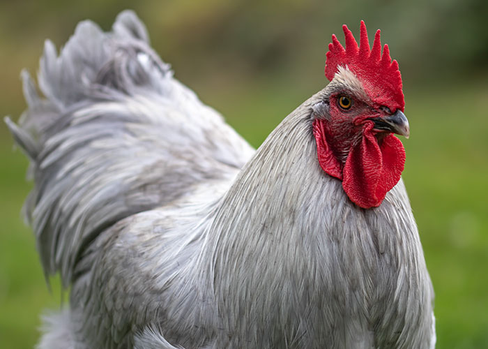 40 Teachers Share Unbelievable Student Excuses For Being Late That Turned Out To Be 100% True