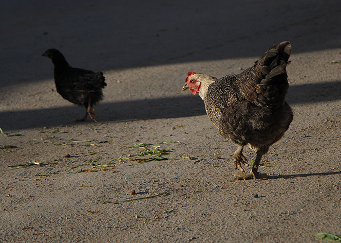 40 Teachers Share Unbelievable Student Excuses For Being Late That Turned Out To Be 100% True