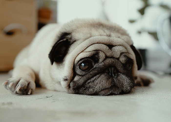 40 Teachers Share Unbelievable Student Excuses For Being Late That Turned Out To Be 100% True