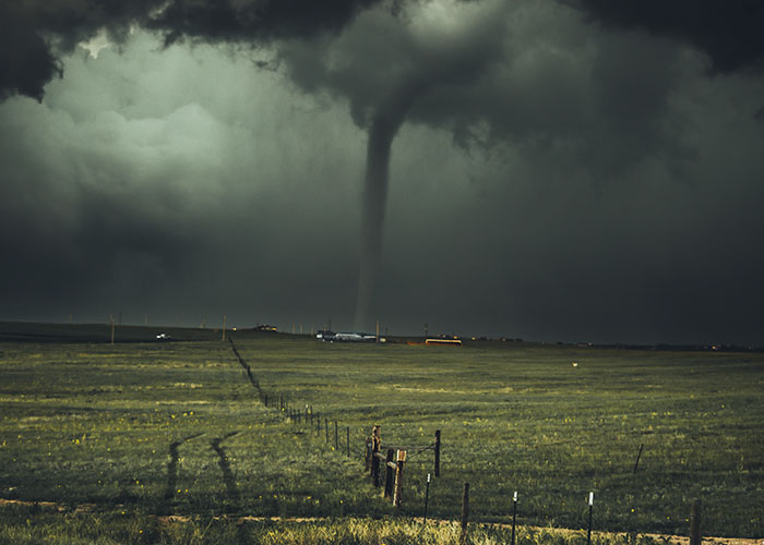 40 Teachers Share Unbelievable Student Excuses For Being Late That Turned Out To Be 100% True