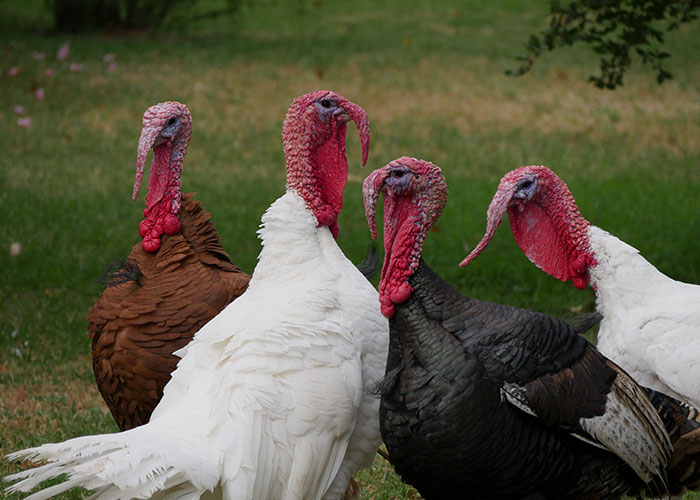 40 Teachers Share Unbelievable Student Excuses For Being Late That Turned Out To Be 100% True