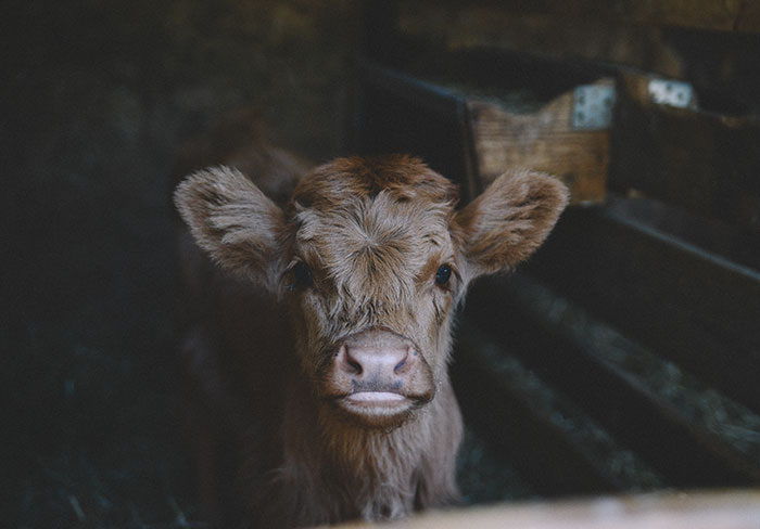 40 Teachers Share Unbelievable Student Excuses For Being Late That Turned Out To Be 100% True