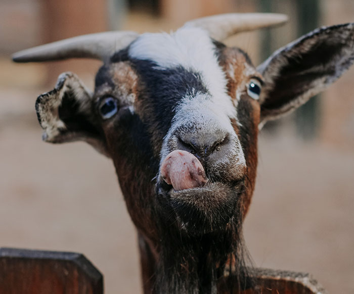 40 Teachers Share Unbelievable Student Excuses For Being Late That Turned Out To Be 100% True