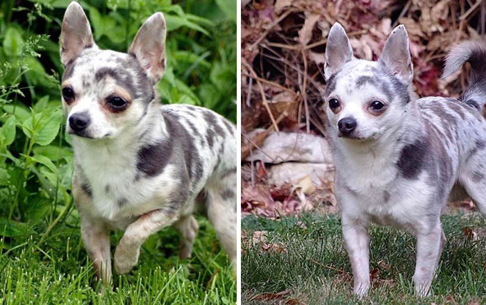 2-Years-Old Tiberius vs. 12-Year-Old Tiberius, Missing Some Freckles But Somehow He’s More "Buff"