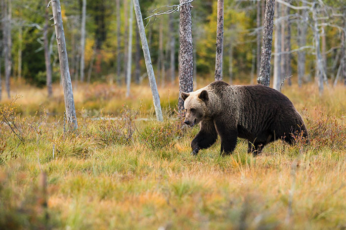 30 Things You Should Never Do In The United States, According To Americans