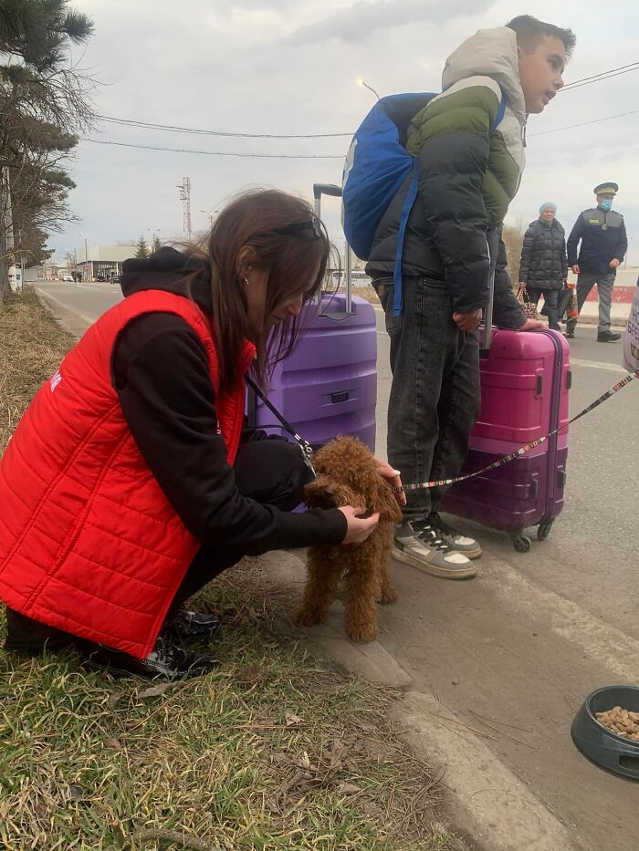 Ukraine-Invasion-Pets