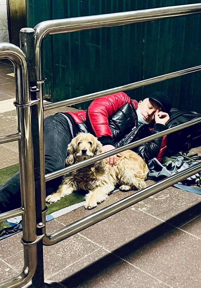 Ukraine-Invasion-Pets