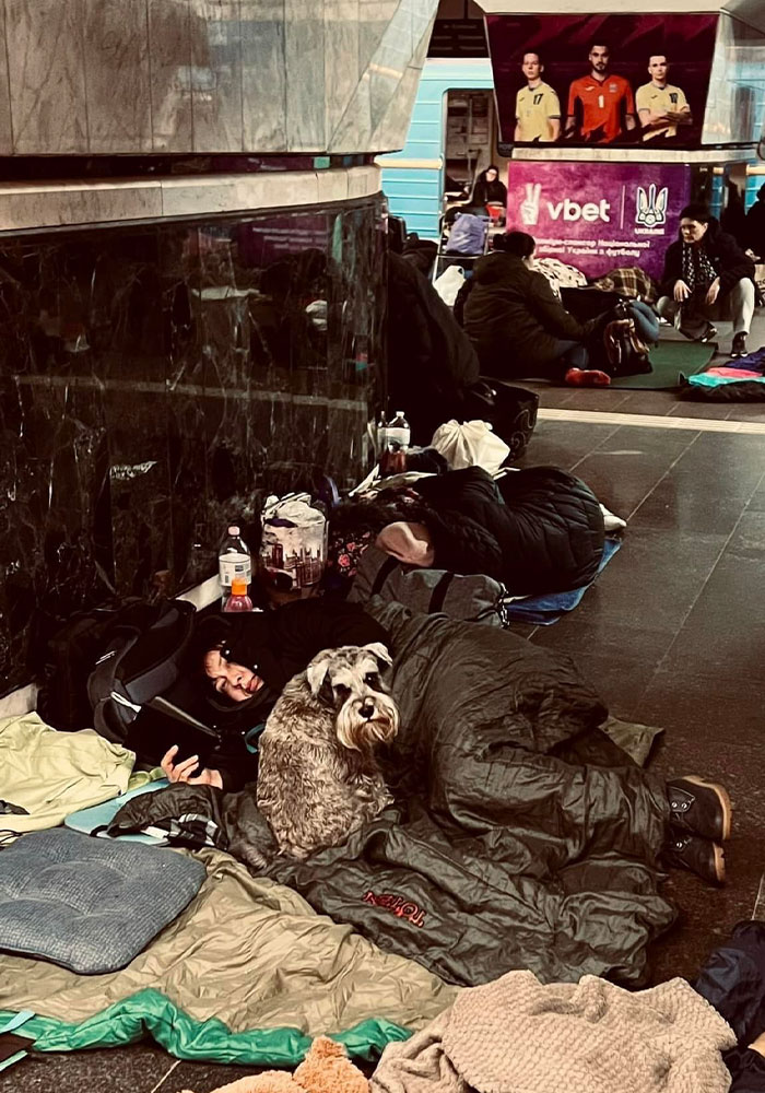 Ukraine-Invasion-Pets