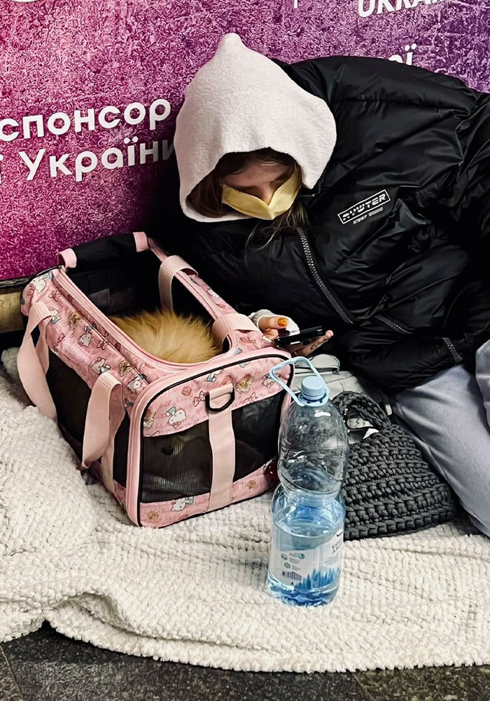 Ukraine-Invasion-Pets