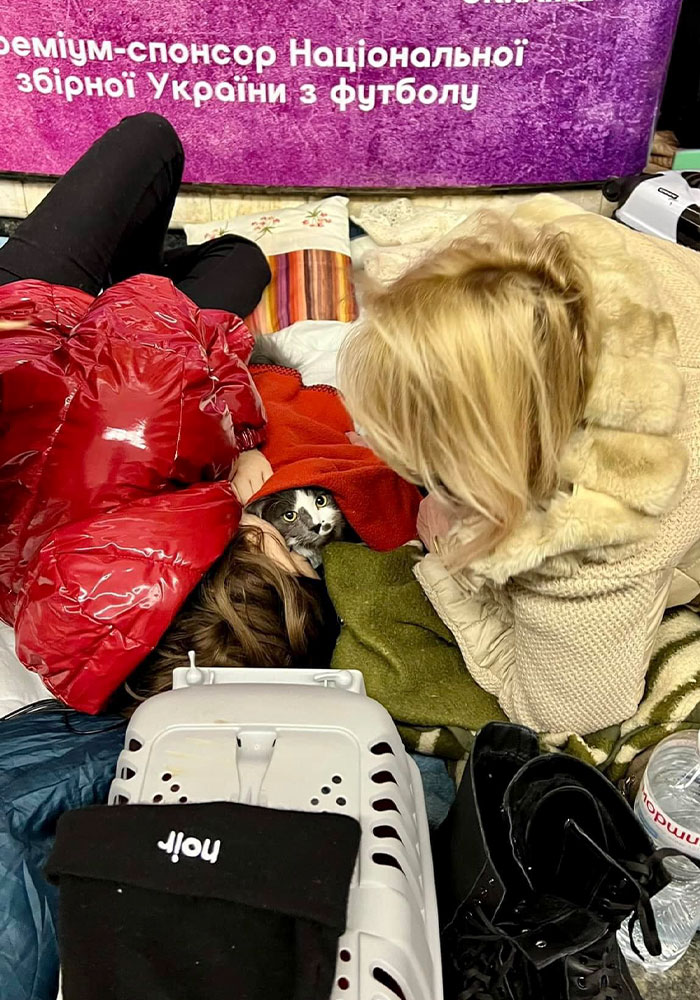 Ukraine-Invasion-Pets