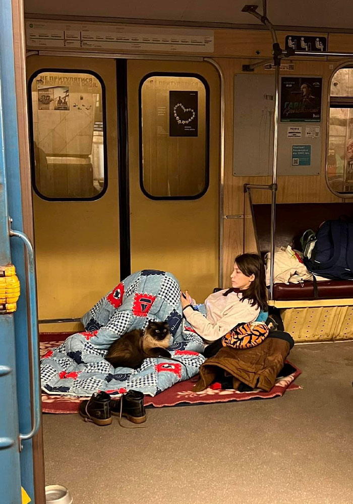 Ukraine-Invasion-Pets