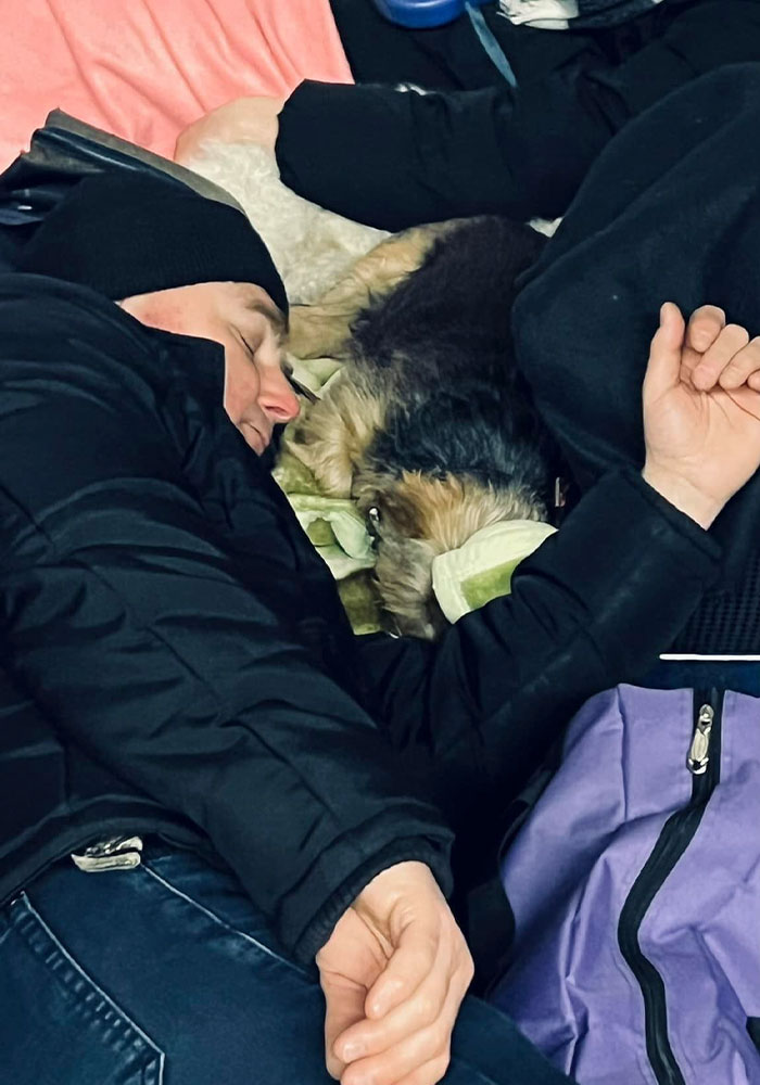 Ukraine-Invasion-Pets