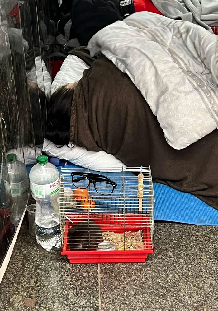 Ukraine-Invasion-Pets