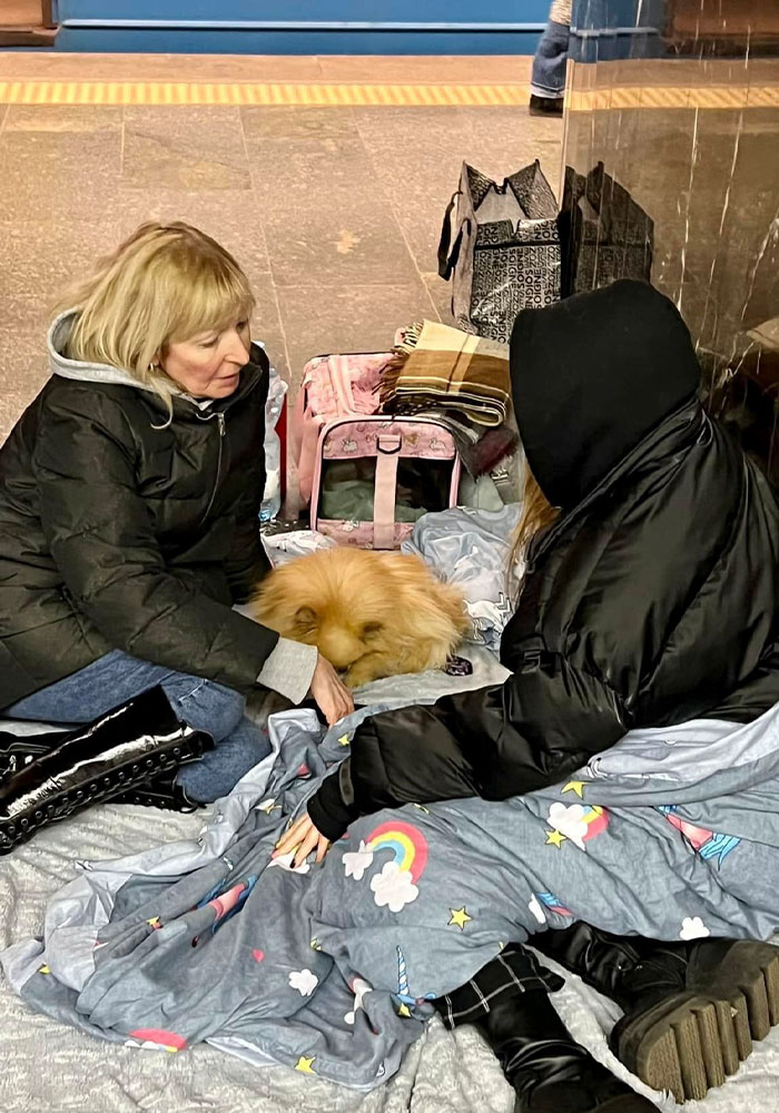 Ukraine-Invasion-Pets