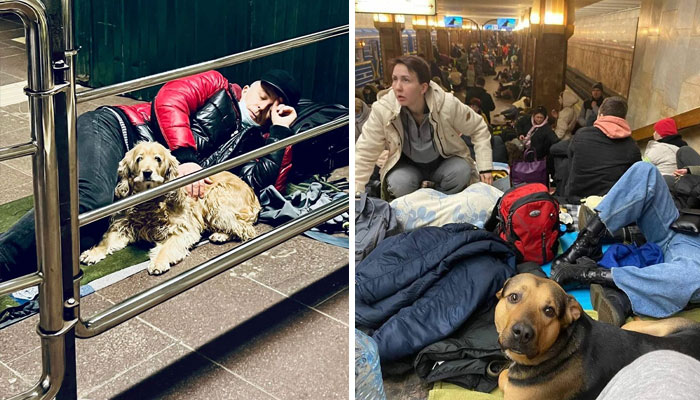 40 Photos Of Ukrainian Folks With Their Pets Amidst The War, Proving Just How Strong Human-Pet Love Can Really Be