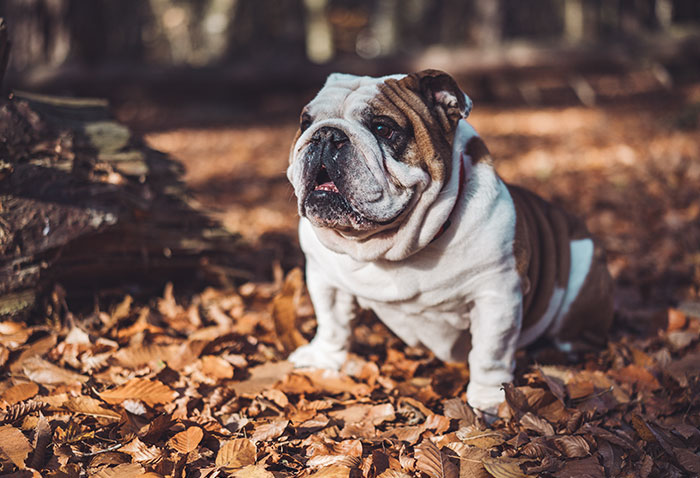 Someone Asks Women Who Refused To Marry Or Have Kids How Life Has Been, And They Deliver 30 Honest Responses