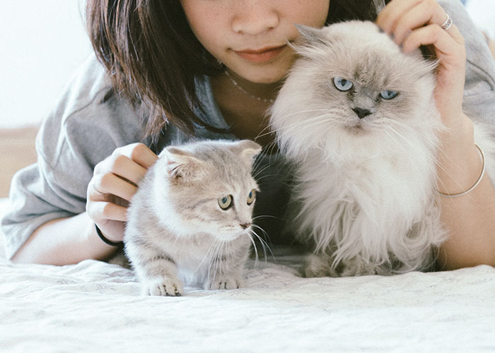 Someone Asks Women Who Refused To Marry Or Have Kids How Life Has Been, And They Deliver 30 Honest Responses