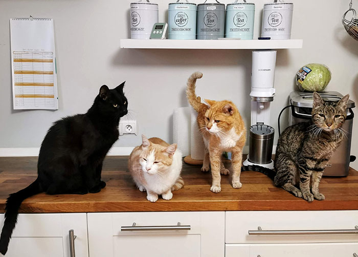 Someone Asks Women Who Refused To Marry Or Have Kids How Life Has Been, And They Deliver 30 Honest Responses