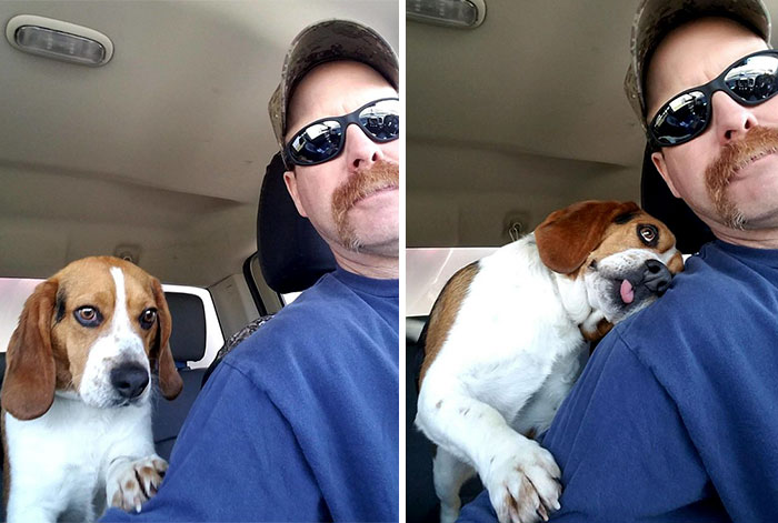 "You Saved My Life. I Knew I Was Going To Die At That Shelter, But You Saved Me Today" - Dog, Saved From Euthanasia, Thanks His Savior