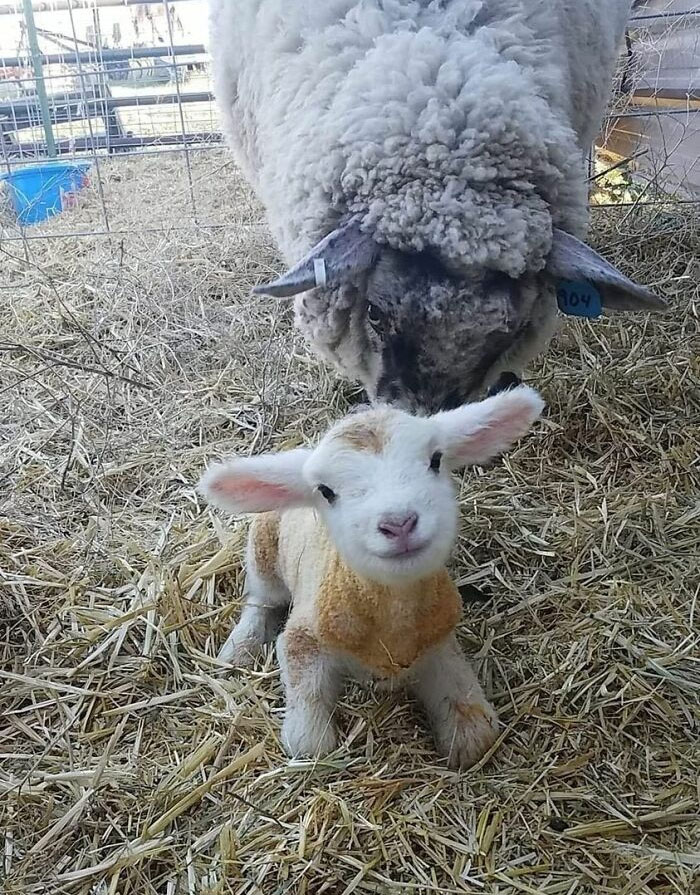 Hello World! I'm 15 Minutes Old