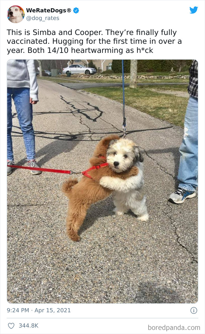 These Two Are Melting Everyone's Hearts