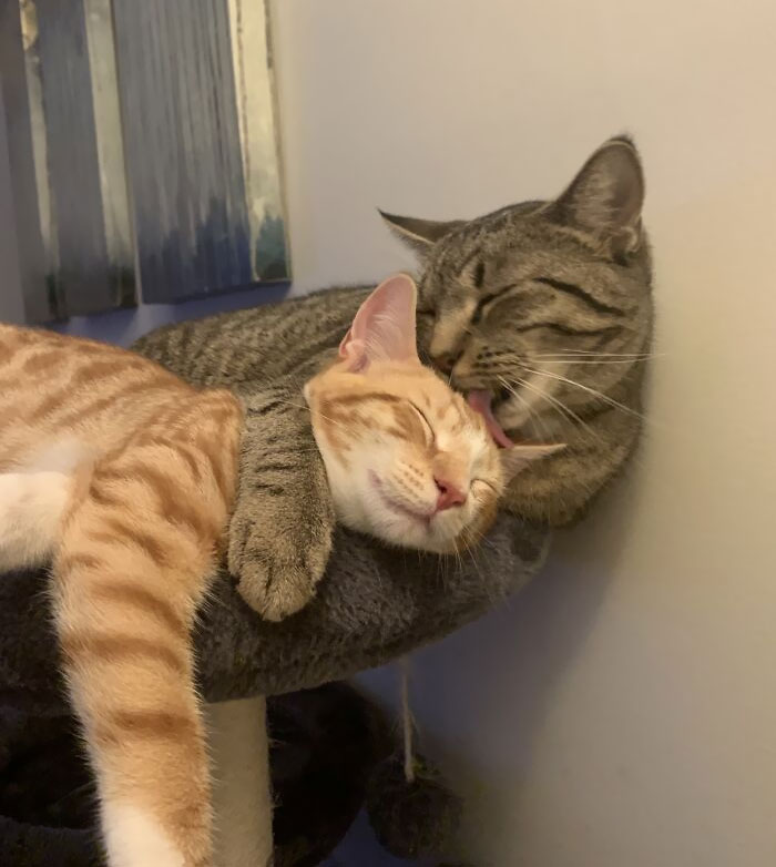 They’ve Known Each Other For 4 Days