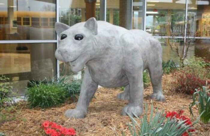 Hey High School Bulldog, Meet My High School Wildcat