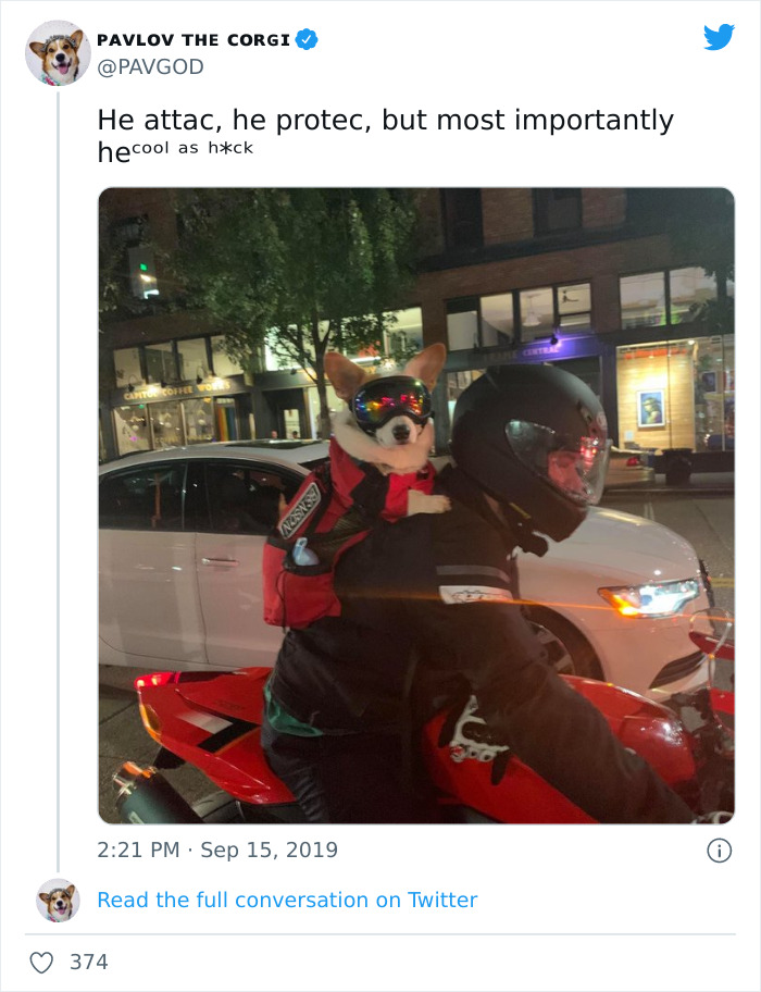 Me And My Corgi Copilot, Benson