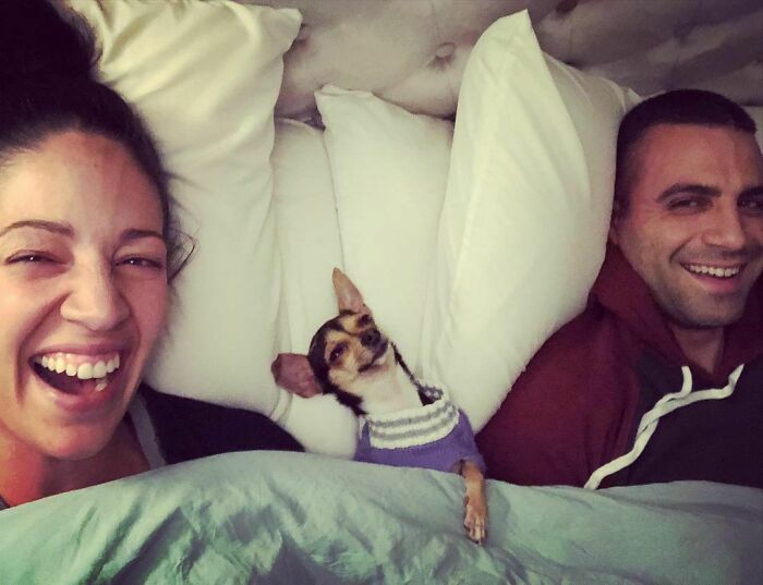 "First Night From The Shelter To The New Home. I Stole Their Hearts And Their Bed. I Made Myself All Nice And Comfy There"