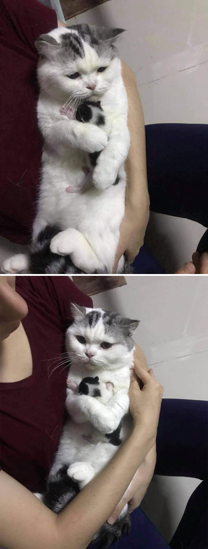 Hooman, This Is My Son