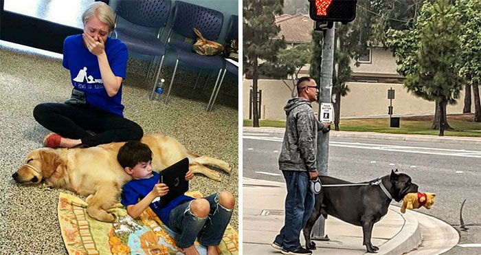 50 Uplifting Animal Pictures To Help You Get Through The Week