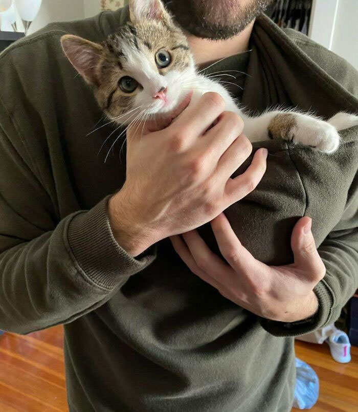 My GF Got Toby For $5 At A Rescue. Best $5 Ever Spent