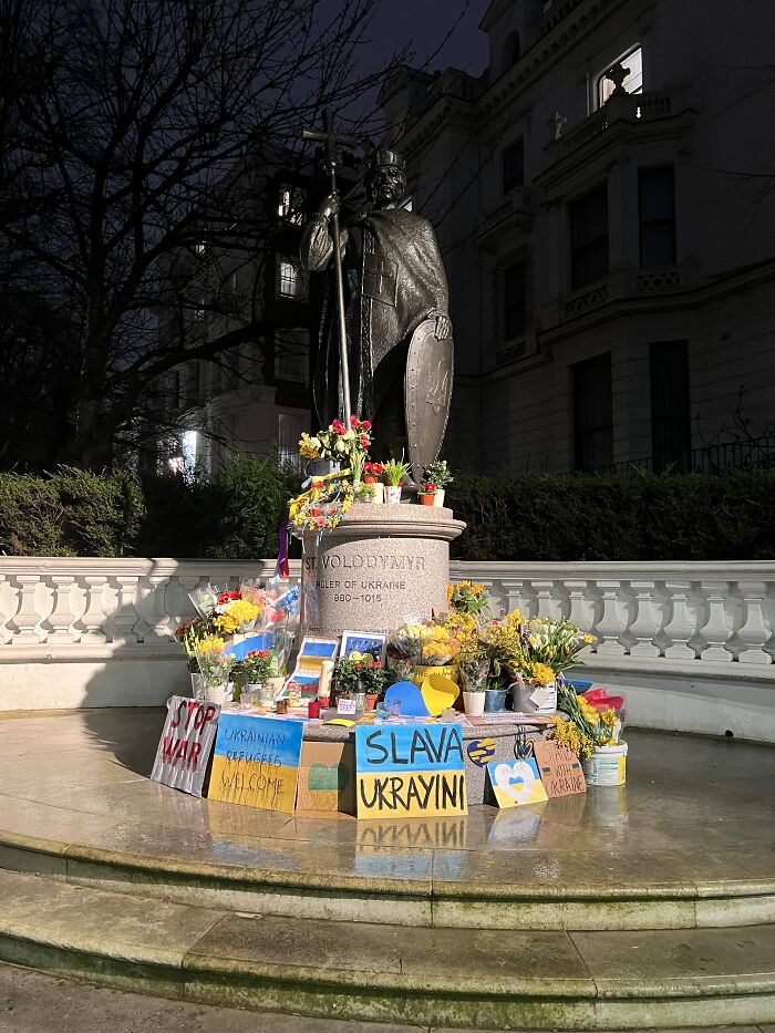 This Near Where I Work, Each Day More And More Flowers Appear