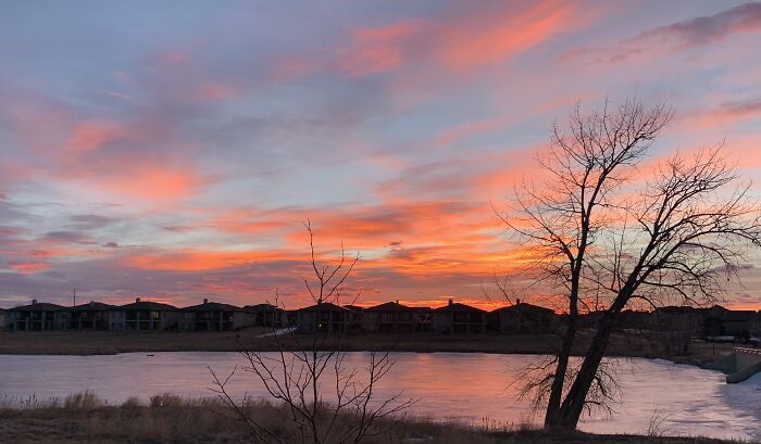 The Morning View From Our Living Room.