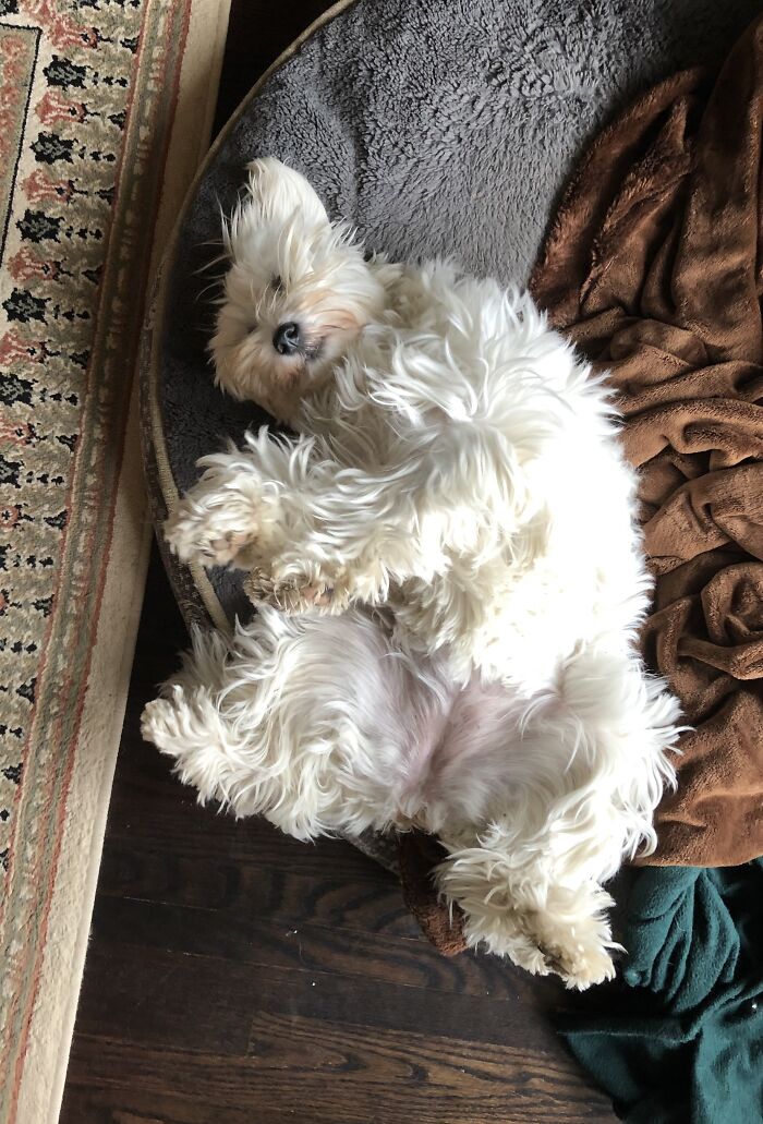 She Always Makes Me Want To Smile When I See Her Like This - Total Blissful Napping.