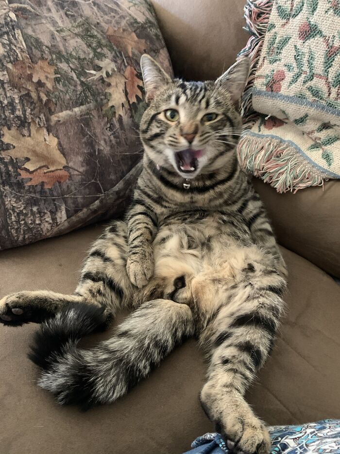 Willow When I Told Him That I Thought He Was A Girl For 8 Months