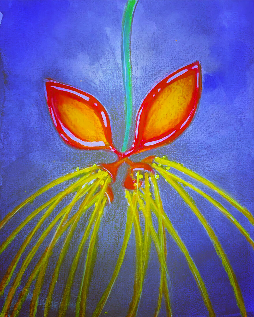 I Drew A Flower Every Day For A Year, And Here Are 40 Of My Best Works