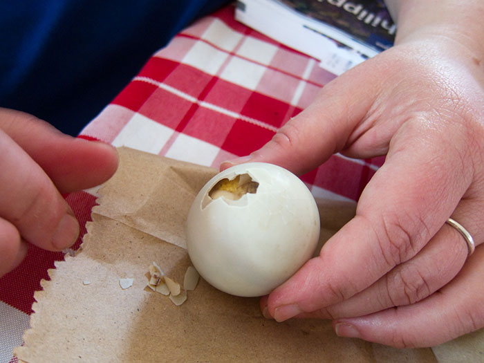 Hands holding a c*****d balut egg, one of the most inedible foods according to adventurous eaters, on a checkered tablecloth.