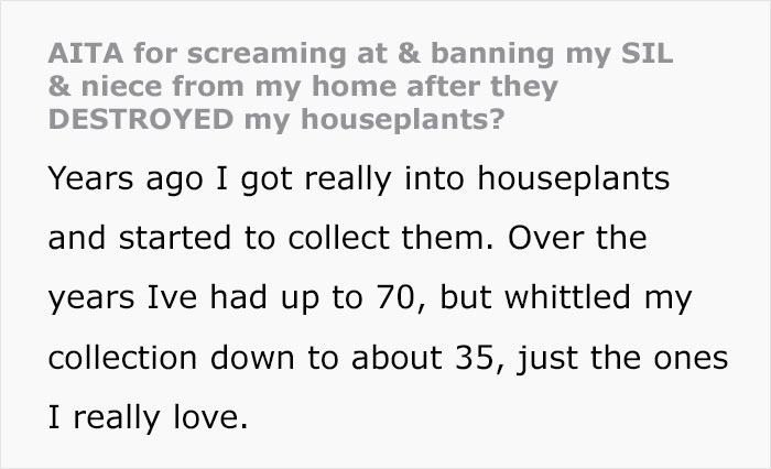 Woman Refuses To See Her Niece And Sister-In-Law After They Trim Her Houseplants And Sell The Cuttings On Marketplace