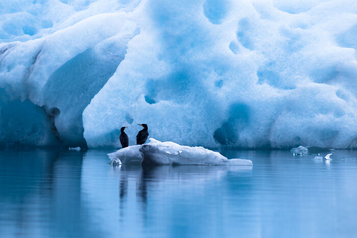 I Moved To Iceland Because Of My Love Of Photography. Here Is My Take On This Little Island.