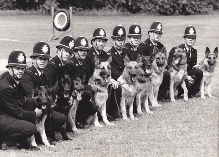 Video Captures The Tiniest Police Pup Doing Rounds Around An Airport, Amasses 9M Views