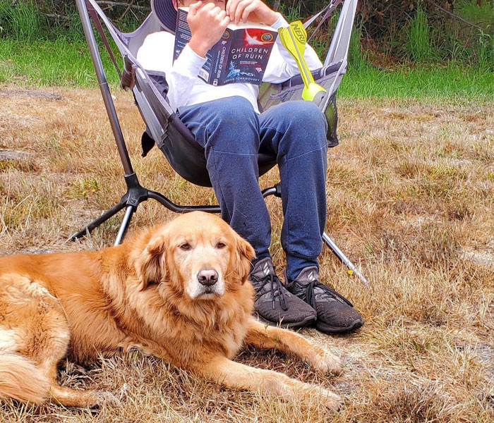 Bookstore Becomes More Magical When Golden Retriever Is Appointed As Manager