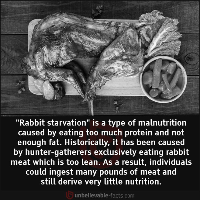 Interesting-Unbelievable-Facts