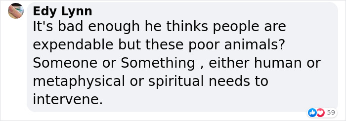 A Lion And Wolf Get Carried By Crane Into A Minivan Driven By Three Brits In Order To Save Them