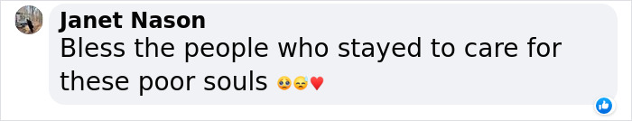 A Lion And Wolf Get Carried By Crane Into A Minivan Driven By Three Brits In Order To Save Them